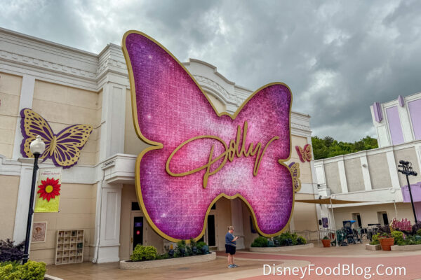 Dollywood Has Officially Ruined ALL Disney World Hotels for Me