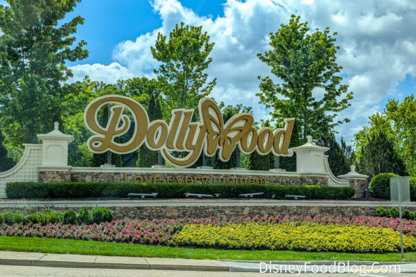 8 Rules Every Disney Adult Will Break in Dollywood