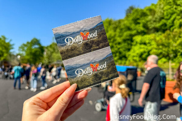 I Had No Idea These 2 Dollywood Hotel Perks Existed