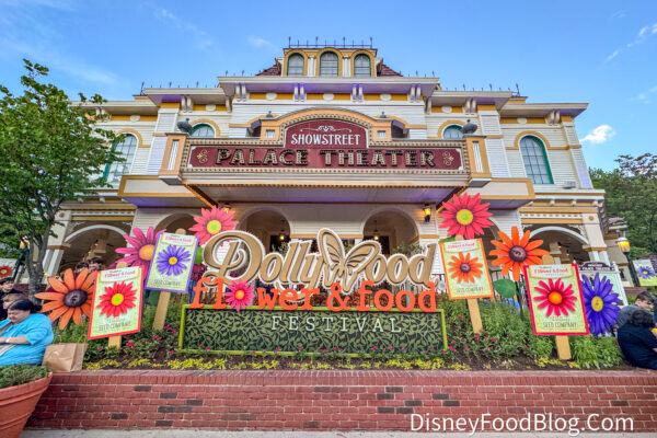 Why I Burned More Calories in Dollywood Even Though I Had the Same Step Count in Disney World