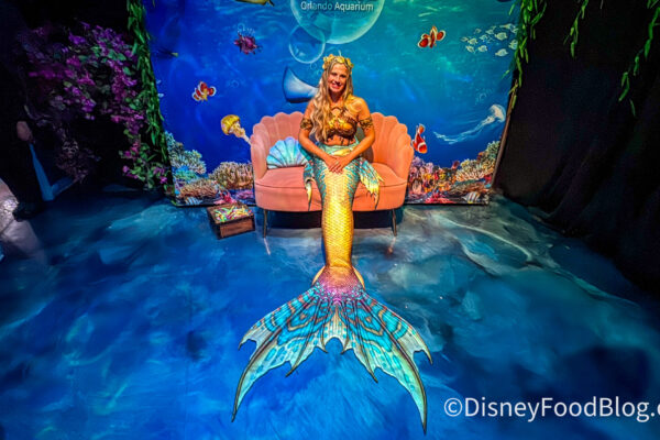 We Just Met a Mermaid in Orlando…and It Wasn’t at Disney World