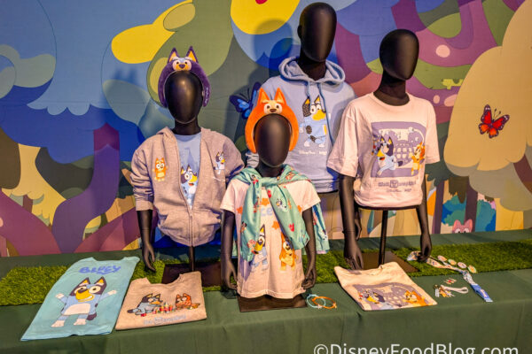 FIRST LOOK at 2 New Merchandise Collections Coming to Disney World