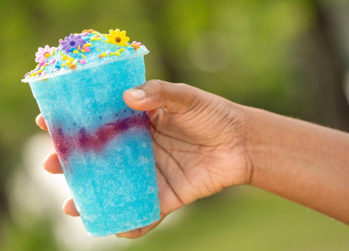 2026-wdw-dak-bluey-snacks-animal-kingdom