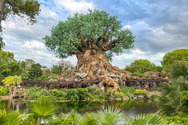We’ve Got a Big Update on the Tropical Americas Land in Disney’s Animal Kingdom