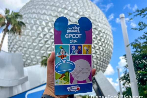 A NEW Disney World Sweepstakes Just Dropped (And You Can WIN a $13,000 Trip!)