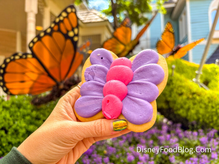 Butterfly-Sugar-Cookie-2026-spotlight-ba