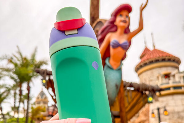 RUN to ALDI Next Week for Disney World Essentials Under $5!