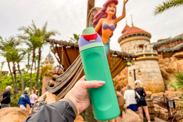 We Tried the Disney Amazon Finds With THOUSANDS of Reviews