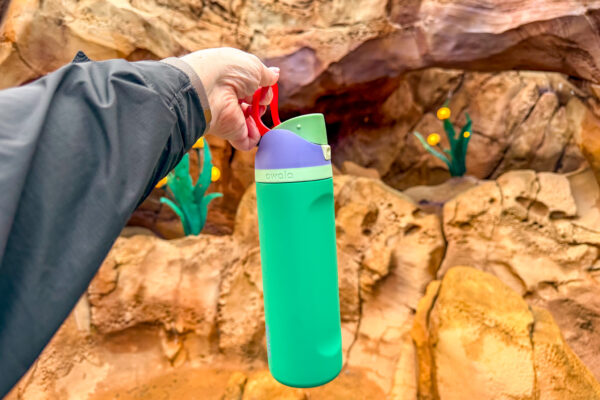 I Tried 5 Amazon Water Bottles for Disney World — Here’s the One I Actually Use