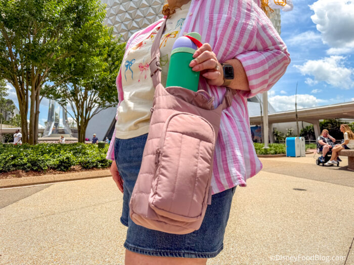 DFB-_-BAGSMART-Travel-Bags-_-Affiliates-
