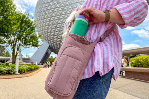 This New $20 Find Might Be the Best Thing You Bring to Disney World