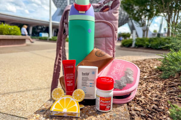 Not to Be Dramatic, but this $17 Amazon Find Just Changed My Life in Disney World