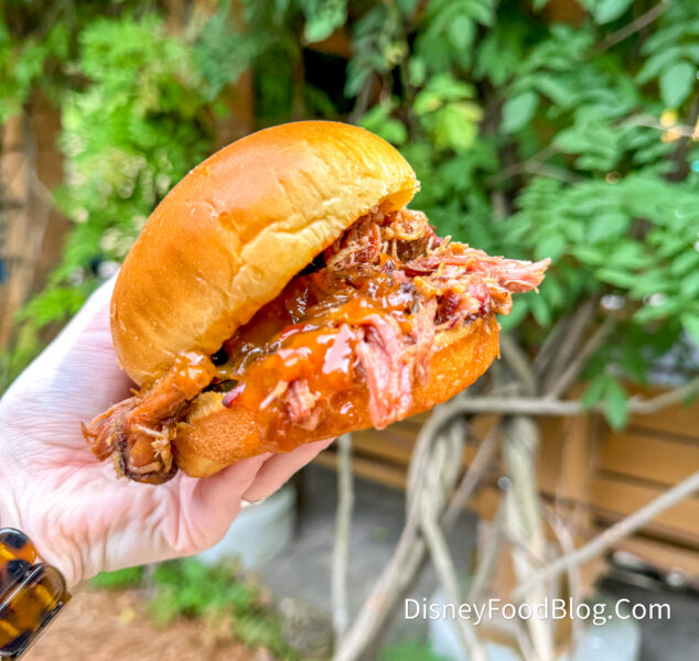 Honey-BBQ-Pulled-Pork-Sandwich-2026-trai