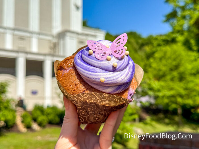 Lavender-Dream-Cupcake-2026-spotlight-ba