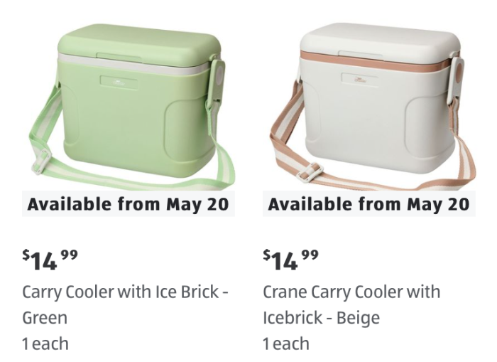 aldi-finds-2026-carry-cooler-with-ice-br