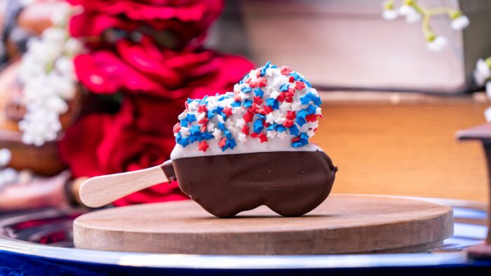 2026-DX-A250-Foodie-Guide-MickeyBar-700x