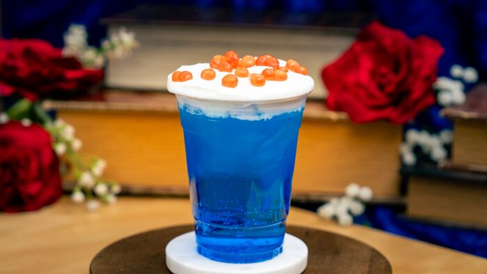 2026-DX-A250-Foodie-Guide-RocketSoda-700
