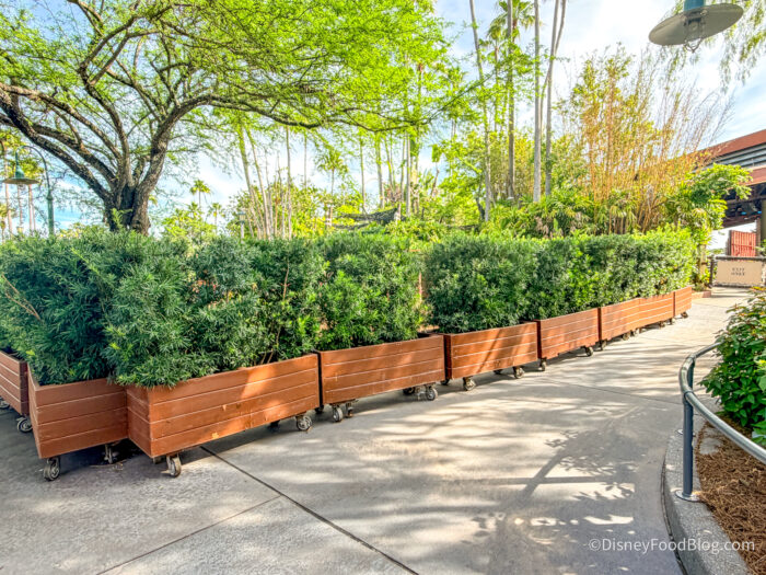 2026-wdw-hollywood-studios-project-fedor