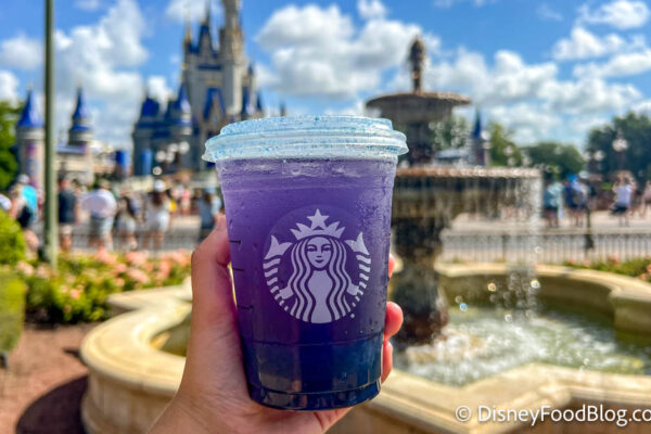 REVIEW: A New Starbucks Drink Just Dropped, and We Have Thoughts