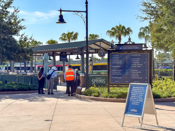 DFB-Atmosphere-Disney-Springs-Disney-Wor