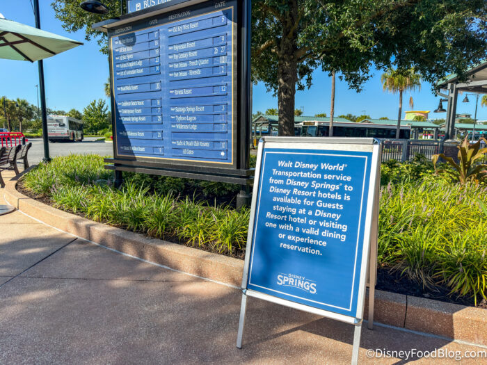 DFB-Atmosphere-Disney-Springs-Disney-Wor