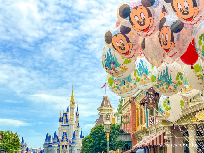 DFB-Cinderella-Castle-Attraction-Main-St