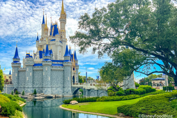 EPCOT Changes, Coaster Delays, and Food & Wine Festival News: Every Major Disney Announcement You Missed