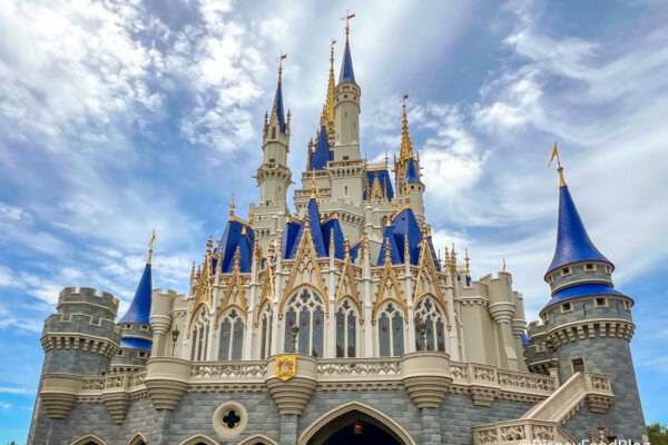 6 Items You Thought Were Illegal in Disney World But AREN’T