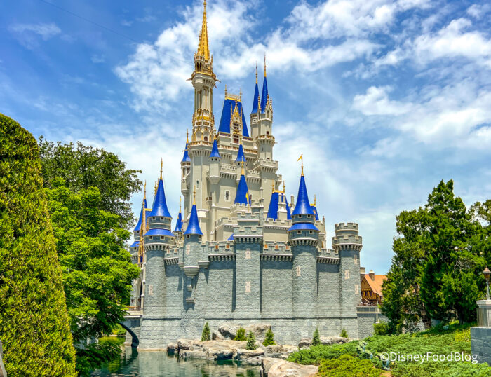 DFB-Cinderella-Castle-Attraction-Main-St