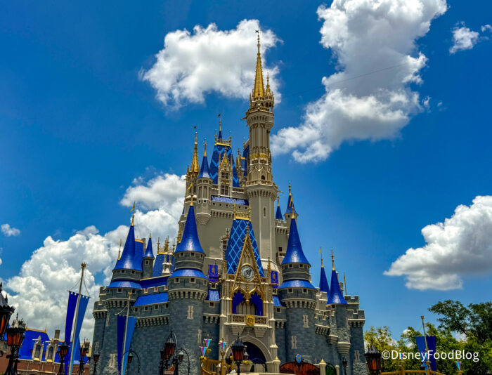 DFB-Cinderella-Castle-Attraction-Main-St