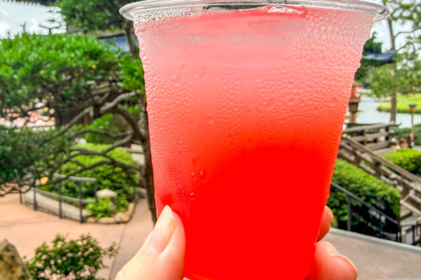 REVIEW: A NEW Boba Drink Dropped At EPCOT’s Japan Pavilion, and We Can’t Get Enough