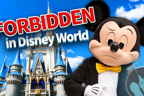 DFB Video: Things That Are Absolutely FORBIDDEN in Disney World