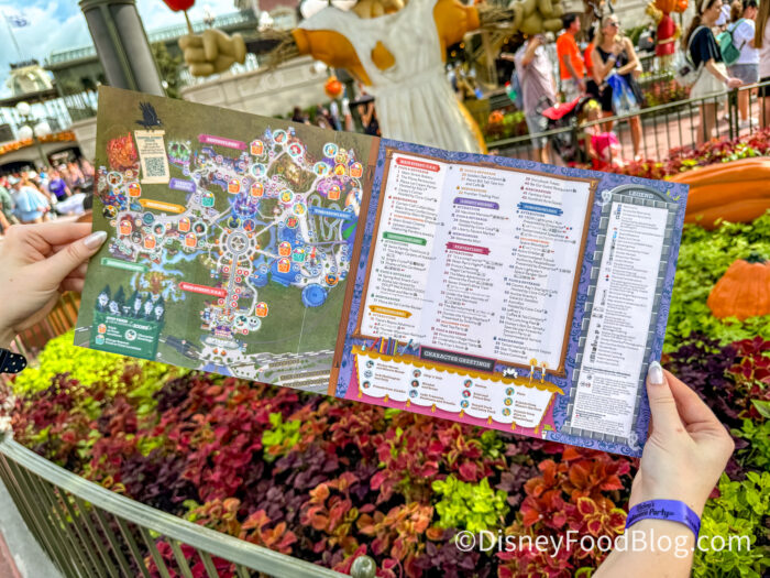 2026-wdw-magic-kingdom-mickeys-not-so-sc