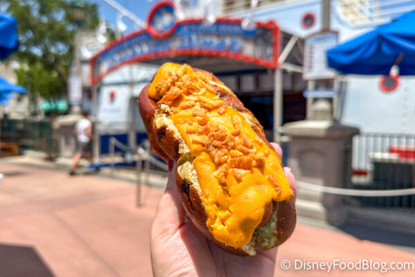 REVIEW: We Are OBSESSED With These 4 NEW Hollywood Studios Snacks