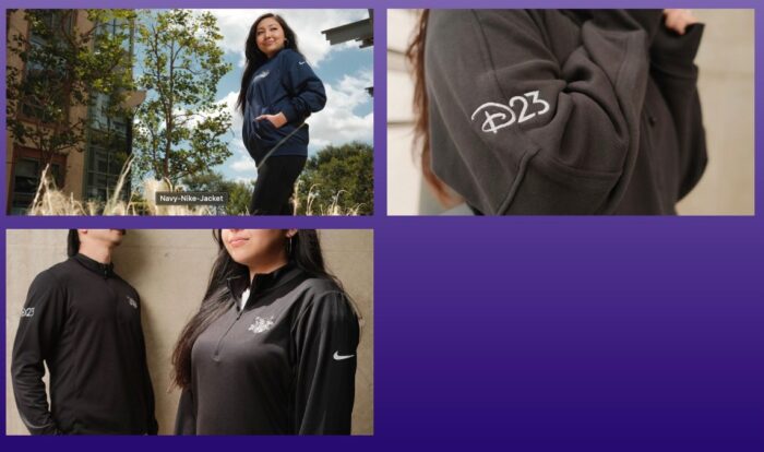 D23-Boutique-d23-merch-collection-700x41
