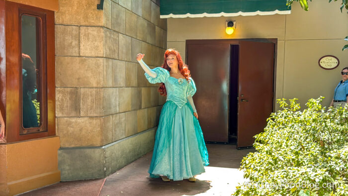 DFB-Ariel-Characters-World-Showcase-EPCO