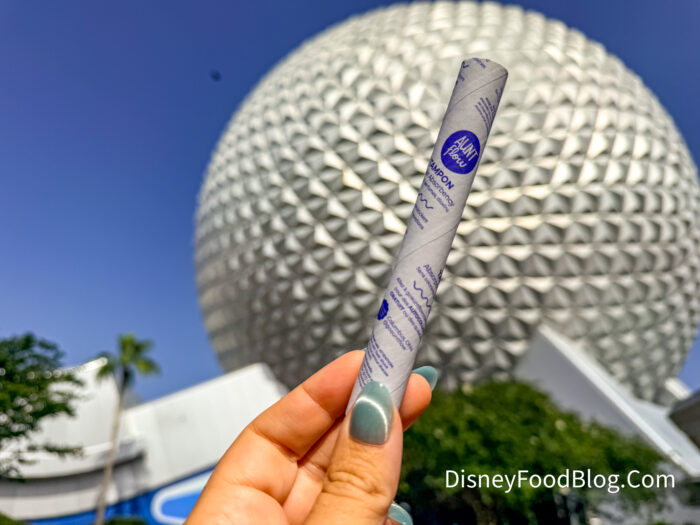 DFB-Aunt-Flow-Products-EPCOT-Disney-Worl
