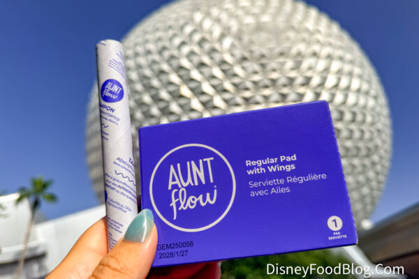 Fans Are Loving This Unexpected Disney World Bathroom News