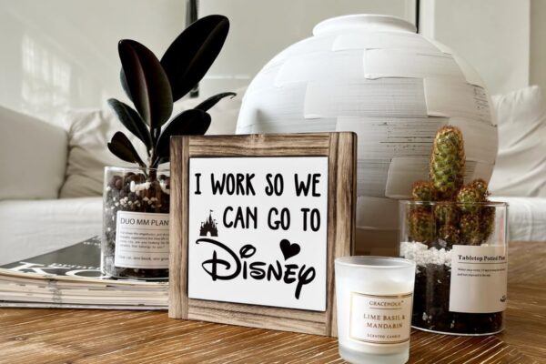 The Disney Souvenir Every Millennial Is Buying At Amazon