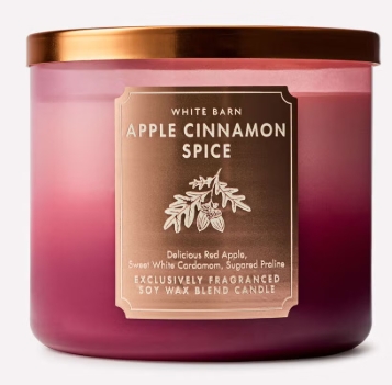 apple-cinnamon-spice-bath-and-body-works