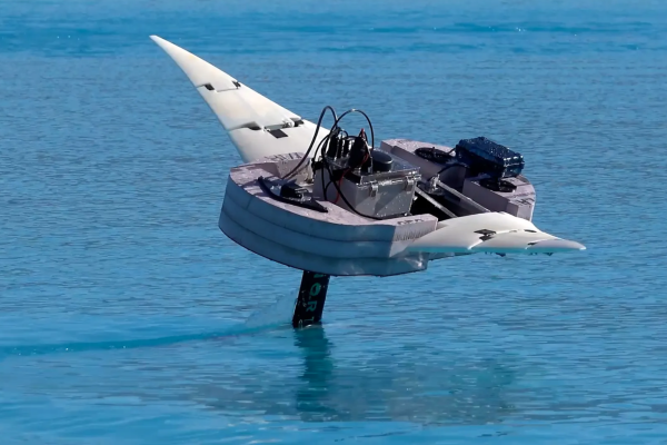 The Future of the Disney Parks Is…Dolphin Robots?!