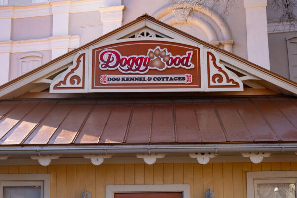 Why I’m Bringing My Dog on My Next Dollywood Trip