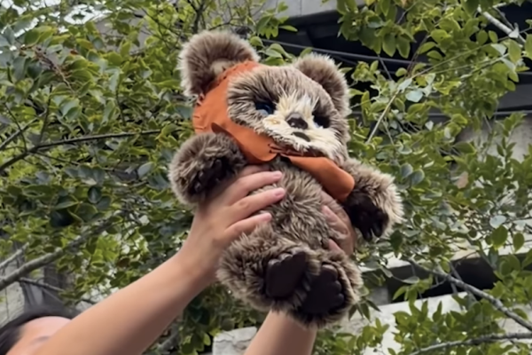There’s One Rule About This New ‘Star Wars’ Toy — Don’t Look Too Close