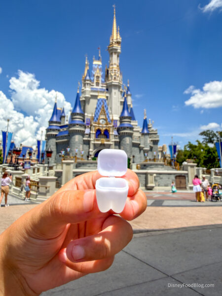 2026-magic-kingdom-tooth-container-2-450