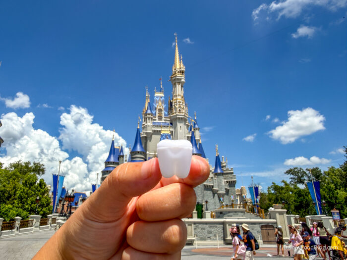2026-magic-kingdom-tooth-container-3-700