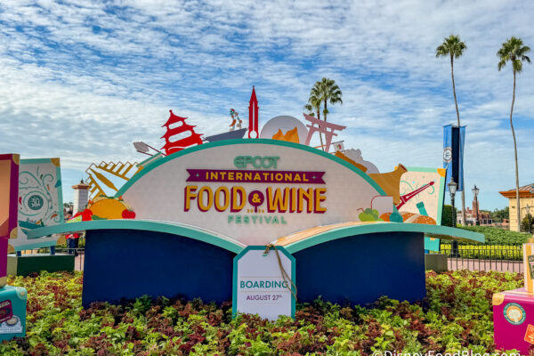 10 Amazon Essentials Everyone Will Bring to EPCOT This Week