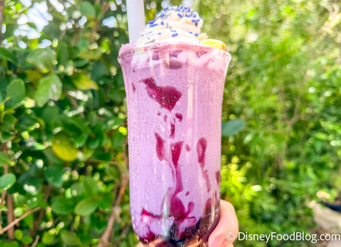 Broomstick-Berry-Shake-Kingdom-Cones-LEG