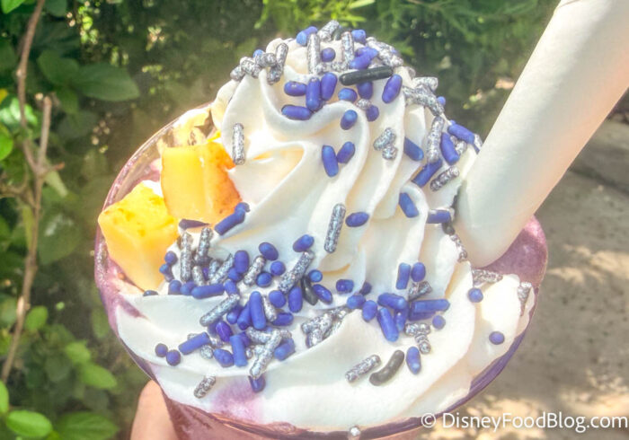 Broomstick-Berry-Shake-Kingdom-Cones-LEG