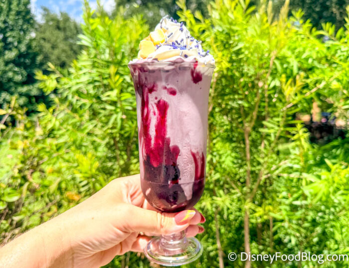 Broomstick-Berry-Shake-Kingdom-Cones-LEG