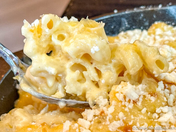 DFB-Mac-N-Queso-Rosa-Mexicano-Restaurant